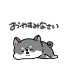 とけてる犬の柴犬(黒)（個別スタンプ：4）