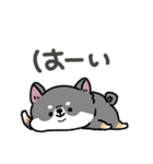 とけてる犬の柴犬(黒)（個別スタンプ：8）