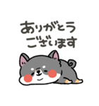 とけてる犬の柴犬(黒)（個別スタンプ：9）