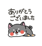 とけてる犬の柴犬(黒)（個別スタンプ：10）
