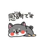 とけてる犬の柴犬(黒)（個別スタンプ：11）
