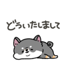 とけてる犬の柴犬(黒)（個別スタンプ：13）