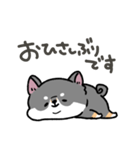 とけてる犬の柴犬(黒)（個別スタンプ：17）