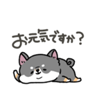 とけてる犬の柴犬(黒)（個別スタンプ：18）