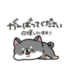 とけてる犬の柴犬(黒)（個別スタンプ：19）