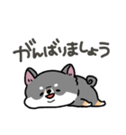 とけてる犬の柴犬(黒)（個別スタンプ：20）