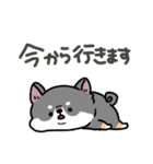 とけてる犬の柴犬(黒)（個別スタンプ：21）