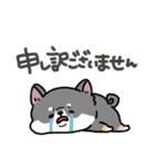 とけてる犬の柴犬(黒)（個別スタンプ：23）