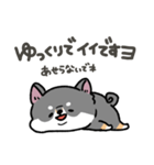とけてる犬の柴犬(黒)（個別スタンプ：26）