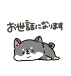 とけてる犬の柴犬(黒)（個別スタンプ：29）