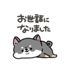 とけてる犬の柴犬(黒)（個別スタンプ：30）