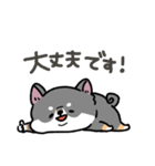 とけてる犬の柴犬(黒)（個別スタンプ：32）