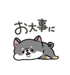 とけてる犬の柴犬(黒)（個別スタンプ：33）