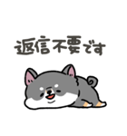 とけてる犬の柴犬(黒)（個別スタンプ：36）