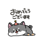 とけてる犬の柴犬(黒)（個別スタンプ：37）
