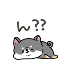 とけてる犬の柴犬(黒)（個別スタンプ：40）