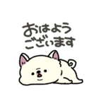 とけてる犬の柴犬(白)（個別スタンプ：1）