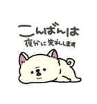 とけてる犬の柴犬(白)（個別スタンプ：3）