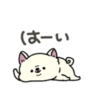 とけてる犬の柴犬(白)（個別スタンプ：8）