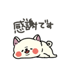 とけてる犬の柴犬(白)（個別スタンプ：11）