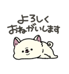 とけてる犬の柴犬(白)（個別スタンプ：12）