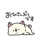 とけてる犬の柴犬(白)（個別スタンプ：17）