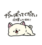 とけてる犬の柴犬(白)（個別スタンプ：19）