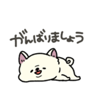 とけてる犬の柴犬(白)（個別スタンプ：20）