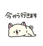 とけてる犬の柴犬(白)（個別スタンプ：21）