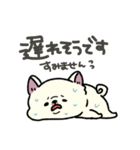 とけてる犬の柴犬(白)（個別スタンプ：22）