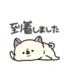 とけてる犬の柴犬(白)（個別スタンプ：24）