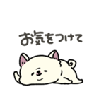 とけてる犬の柴犬(白)（個別スタンプ：25）