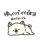 とけてる犬の柴犬(白)（個別スタンプ：26）