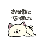 とけてる犬の柴犬(白)（個別スタンプ：30）