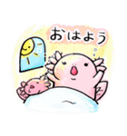ウーパーちゃん(日常)（個別スタンプ：3）