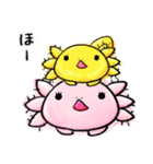 ウーパーちゃん(日常)（個別スタンプ：8）