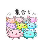 ウーパーちゃん(日常)（個別スタンプ：14）