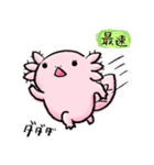 ウーパーちゃん(日常)（個別スタンプ：22）