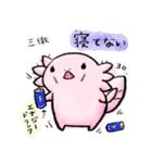 ウーパーちゃん(日常)（個別スタンプ：31）