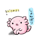 ウーパーちゃん(日常)（個別スタンプ：33）
