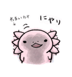 ウーパーちゃん(日常)（個別スタンプ：37）