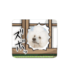 RAI LIFE 5（個別スタンプ：13）