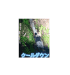 心霊配信者動くえだまめさんII（個別スタンプ：12）
