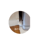 ちょこちゃんの日常3（個別スタンプ：6）