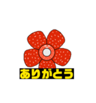 那覇気分の花（個別スタンプ：4）