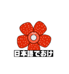 那覇気分の花（個別スタンプ：11）