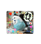 ラムラム's（個別スタンプ：4）
