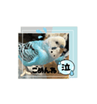 ラムラム's（個別スタンプ：7）
