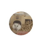 かわいこちゃんたちのstamp（個別スタンプ：5）