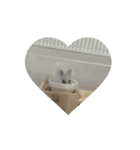 かわいこちゃんたちのstamp（個別スタンプ：6）